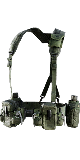 Alice Patrol Rig Handshake — Vendor Inventory · GZW Loadout